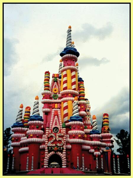 walt disney world castle. at Walt DisneyWorld