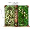 Concept design for the Big Book of Spells cover and spine, with arcane symbols and texture like the skin of a giant serpent. 
© Busch Entertainment